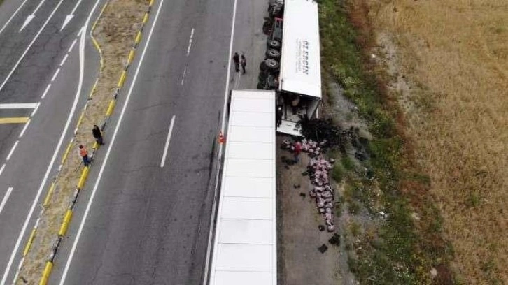 Rusya'ya 48 bin dolarlık kiraz taşıyan tır kaza yaptı