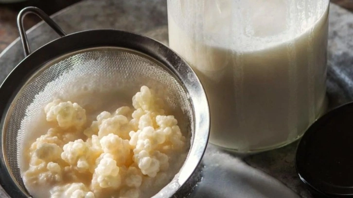 Sabah aç karnına kefir içmenin faydaları nedir? Her gün kefir içmek, laktozsuz kefir...