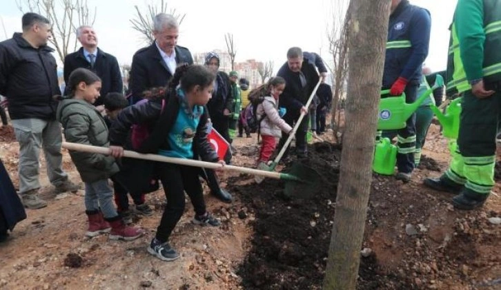 Şahinbey Belediyesi  4 milyona yakın ağaç dikti