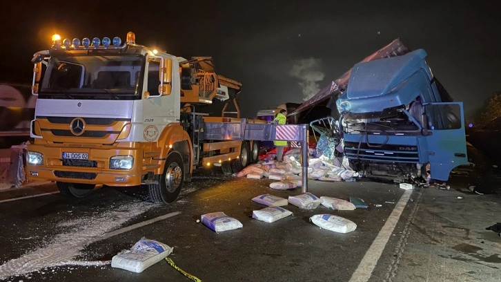 Sakarya feci kaza: Kamyona çarpan tır karşı şeride geçti, ortalık savaş alanına döndü