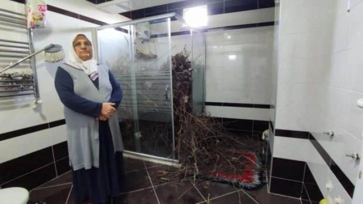 Sakarya’da şaşırtan olay: Kargalar evi bakın ne hale getirdi