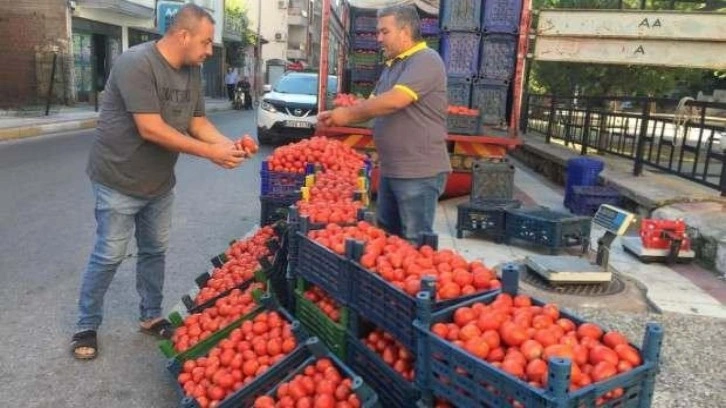 Salçalık domates fiyatları el yakıyor