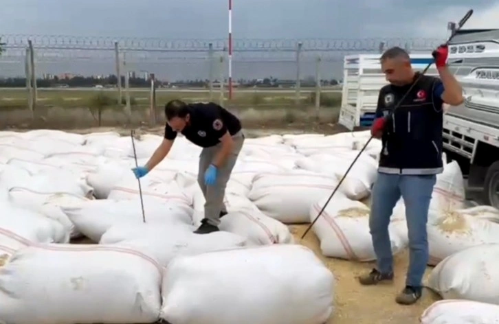 Saman dolu çuvalların içinde esrar çıktı