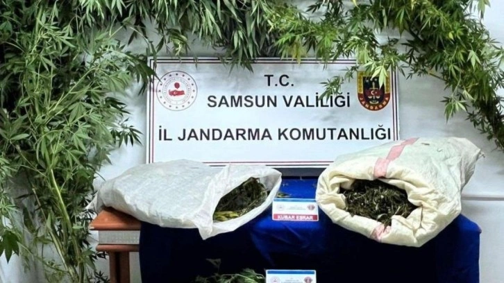 Samsun'da jandarma 8 kilo kubar esrar ele geçirdi