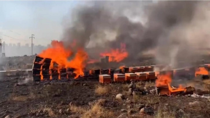 Şanlıurfa'da yangın: Yüzlerce arı kovanı kül oldu