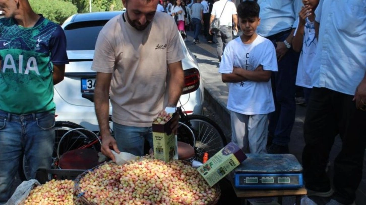 Siirt’in yeşil altını tezgahtaki yerini aldı