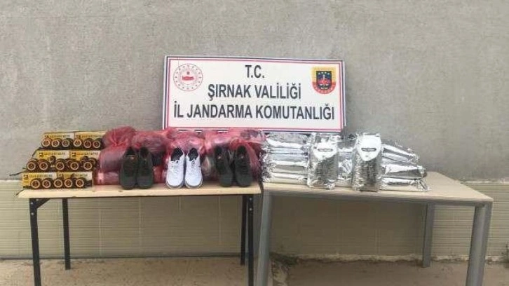 Şırnak’ta terörün finansmanına ağır darbe: 148 gözaltı