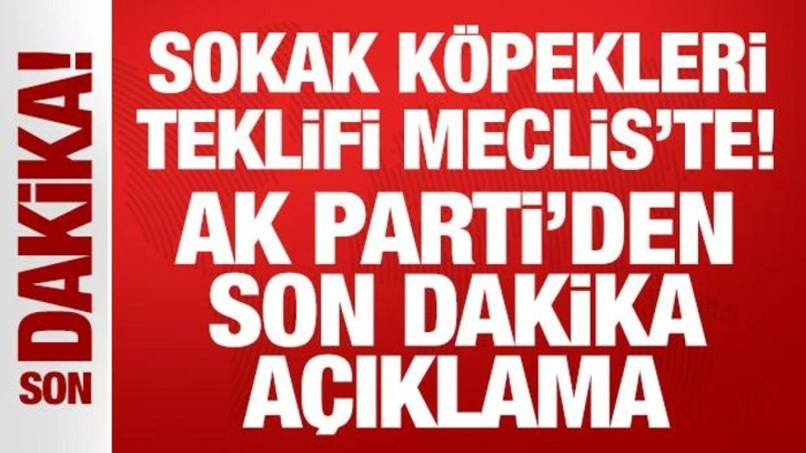 Sokak köpekleri düzenlemesi Meclis'te: AK Parti'den 17 maddelik teklif!