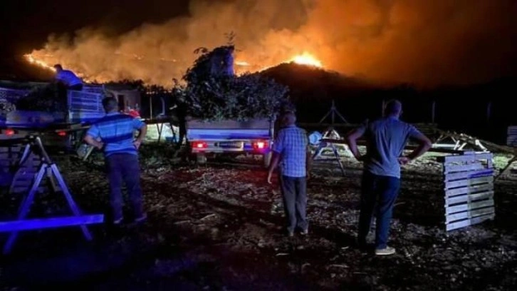 Söke’de korkutan orman yangını