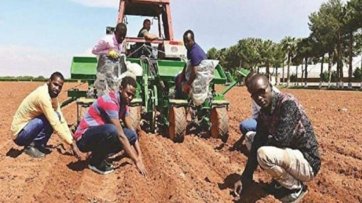 Somali’den Türk çiftçisine davet