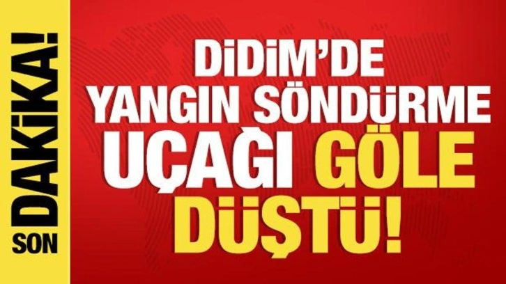 Son dakika: Didim'de yangına müdahale eden uçak göle sert iniş yaptı!