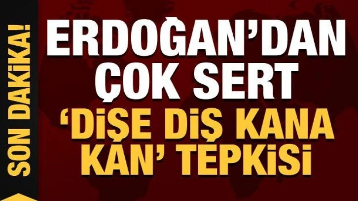 Son Dakika... Erdoğan'dan Gabar petrolü açıklaması: En uygun şartlarda vereceğiz!