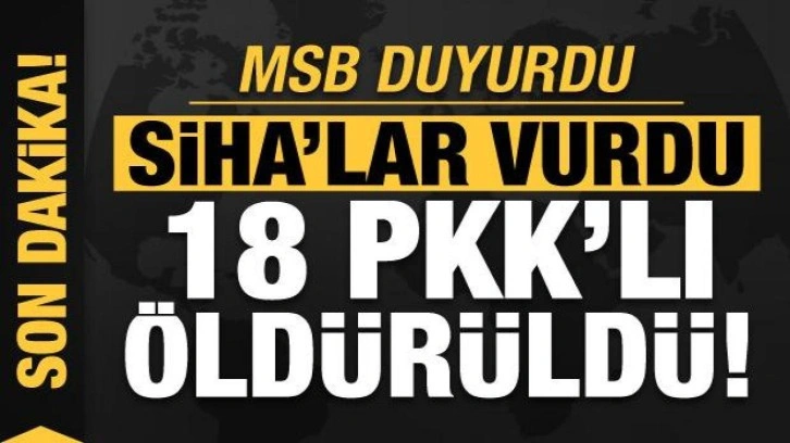 Son dakika: Terör örgütü PKK'ya ağır darbe: 18 terörist daha etkisiz hale getirildi!