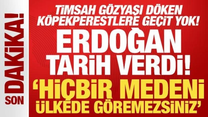 Son Dakika... Erdoğan tarih verdi: Timsah gözyaşı döken köpekperestlere geçit yok!