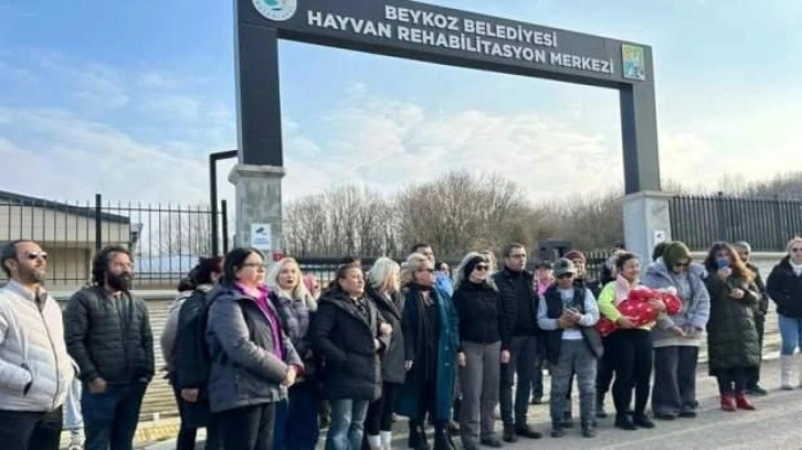 Sözde hayvansever gruplar kaos peşinde! 