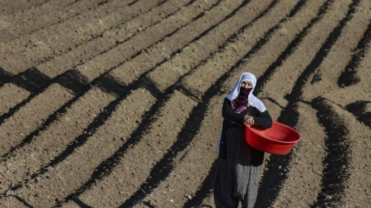 Tahıl anlaşmasının bitmesine yakın tarım emtiaları yükseliyor