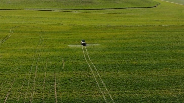 Tarım ÜFE nisanda aylık yüzde 2,71, yıllık yüzde 60,77 arttı