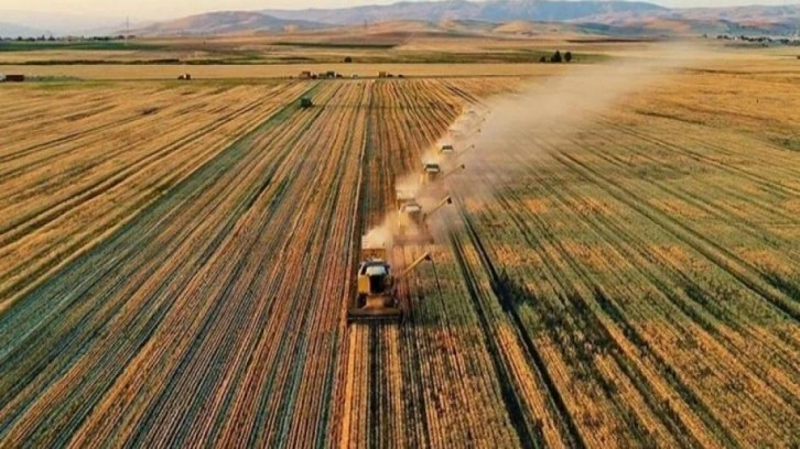 Tarımda tarihin en yüksek ocak-temmuz ihracatı