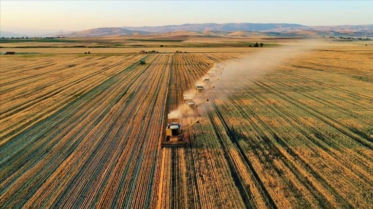 Tarımsal girdi fiyat endeksi açıklandı