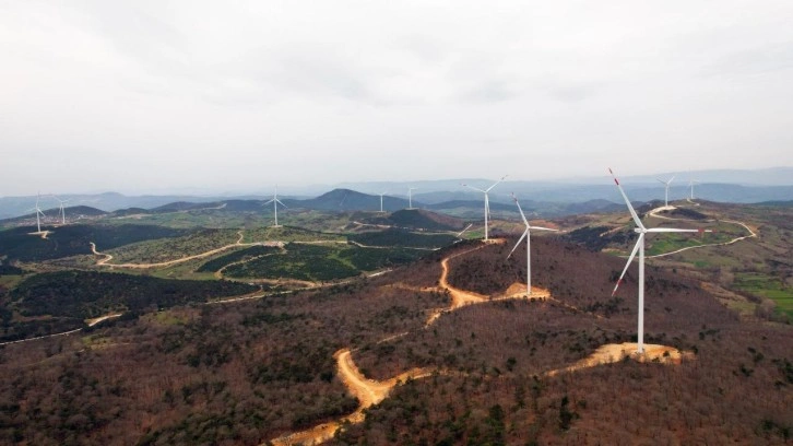 Tatlıpınar Enerji halka arz oluyor