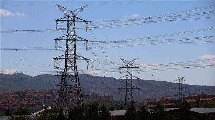 Temmuzda fiyatı en fazla artan ürün "elektrik", en çok düşen "patates" oldu