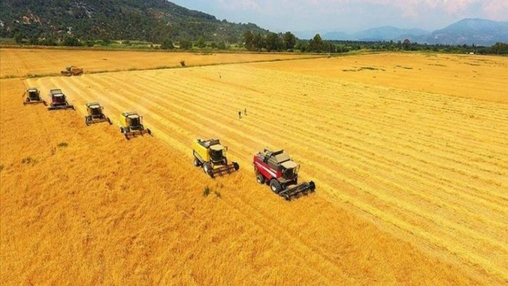 TMO: Bu yıl çok farklı bir alım kampanyası yürüteceğiz