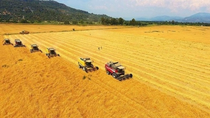 TMO Yozgat genelinde 800 bin ton hububat alımı gerçekleştirdi