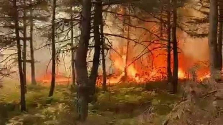 Tokat’ta korkutan orman yangını