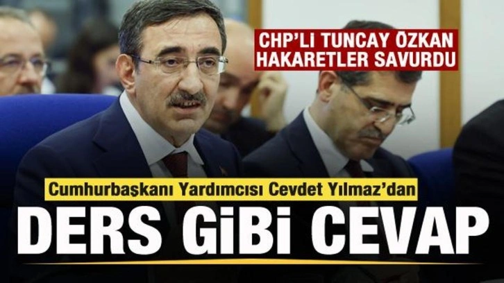 Tuncay Özkan hakaretler savurdu! Cumhurbaşkanı Yardımcısı Cevdet Yılmaz cevabını verdi