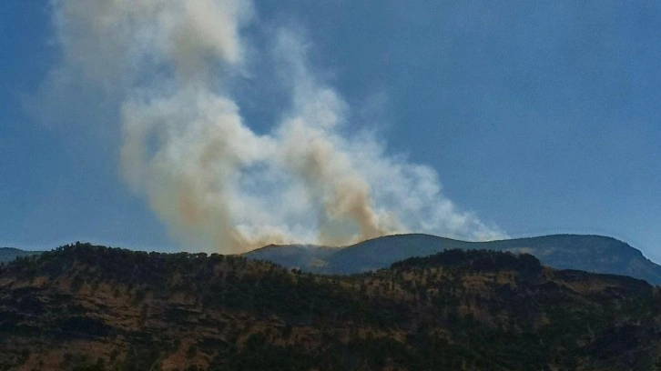 Tunceli’de orman yangını: Helikopter ve askeri personel sevk edildi