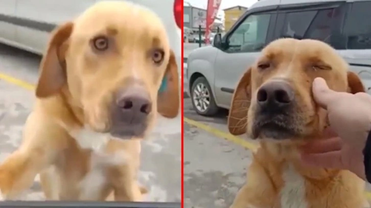 Türk Polis Teşkilatı yine yürekleri ısıttı! Sakarya'da çekilen videoyu izleyenler duygulanıyor