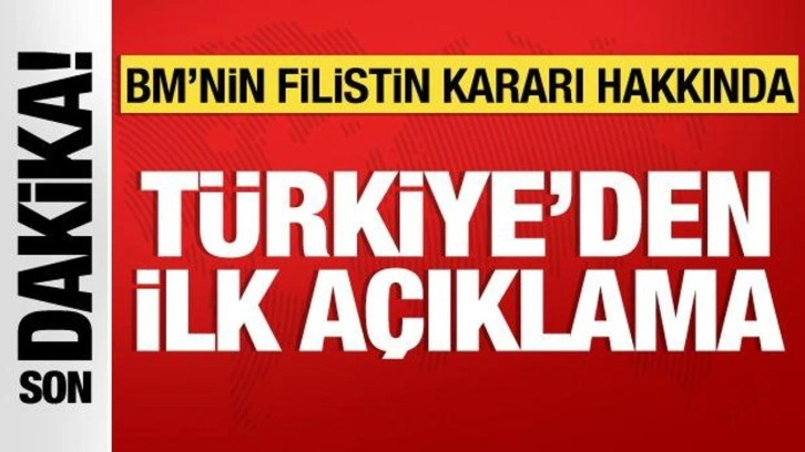 Türkiye'den BM'nin Filistin kararı hakkında ilk açıklama