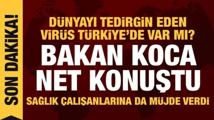 Türkiye'de maymun çiçeği görüldü mü? Sağlık Bakanı Koca'dan yeni açıklama