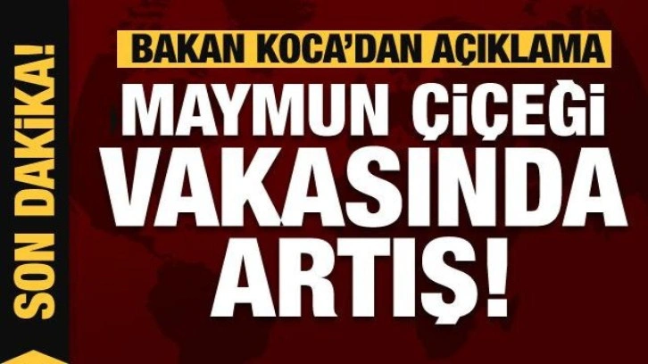 Türkiye'de maymun çiçeği vakası yükseldi