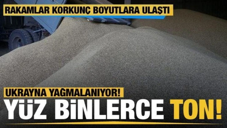 Ukrayna yağmalanıyor! Yüz binlerce ton tahıl, eşsiz sanat eserleri, tarım araçları...