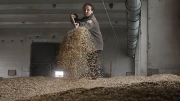 Ukrayna'daki tarım işletmeleri zora girdi