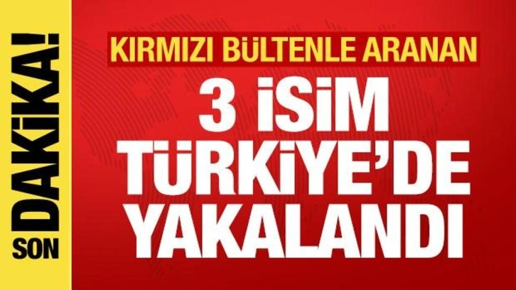 Uluslararası 3 suçlu Türkiye'de yakalandı