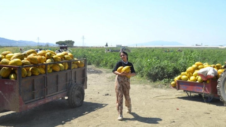 Üretici 600 ton kavun ve karpuzu ücretsiz dağıttı!