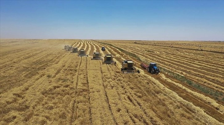 Üretim planlamasının gelecek yıl hububat üretimini olumlu etkilemesi bekleniyor