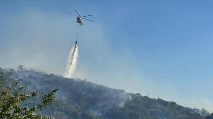 Uşak'ta makilik alanda yangın çıktı!