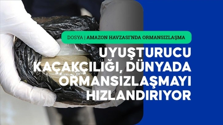 Uyuşturucu kaçakçılığı, "dünyanın akciğerlerini" günden güne söndürüyor