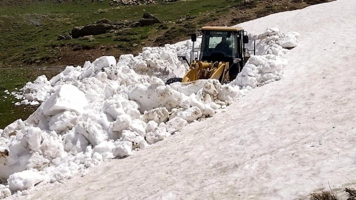 Van'da kardan kapalı olan yayla yolları açıldı