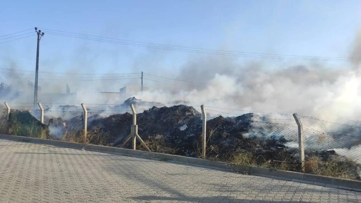 Yalova'da yangın