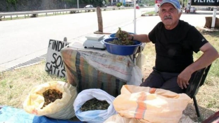 Yeni sezon fındığı yol kenarlarında satışa çıktı