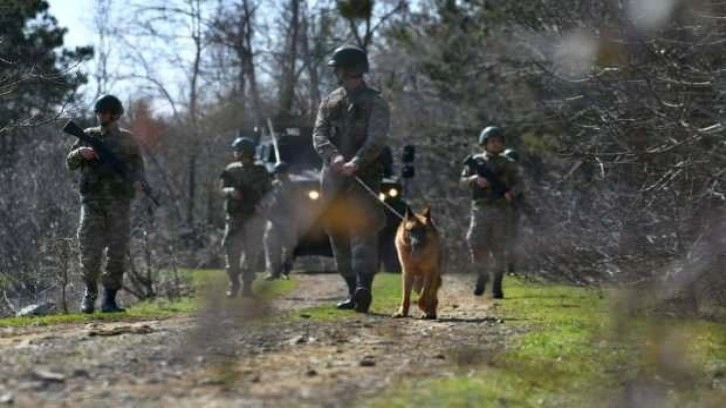 Yunanistan'a kaçmaya çalışan 3'ü FETÖ'cü 8 kişi yakalandı