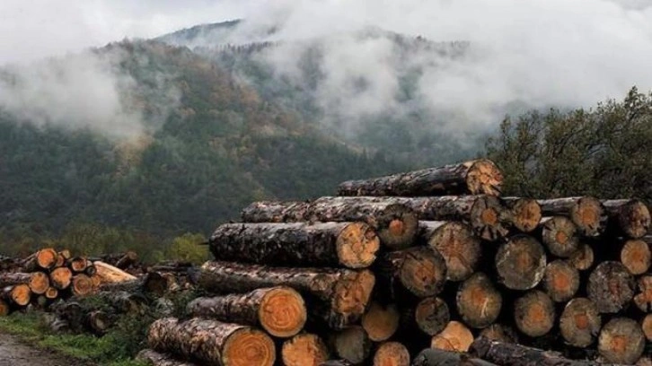 Yunanistan’da oduna talep arttı