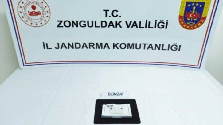 Zonguldak'ta uyuşturucu operasyonunda 3 tutuklama