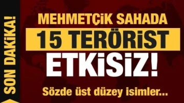 15 PKK'lı terörist etkisiz hale getirildi