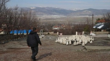 9 yıl önce marketini satarak bu işe başladı! Parayı da buldu huzuru da