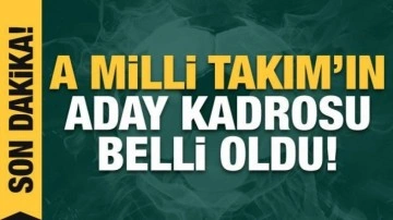 A Millİ Futbol Takımı'nın aday kadrosu belli oldu!